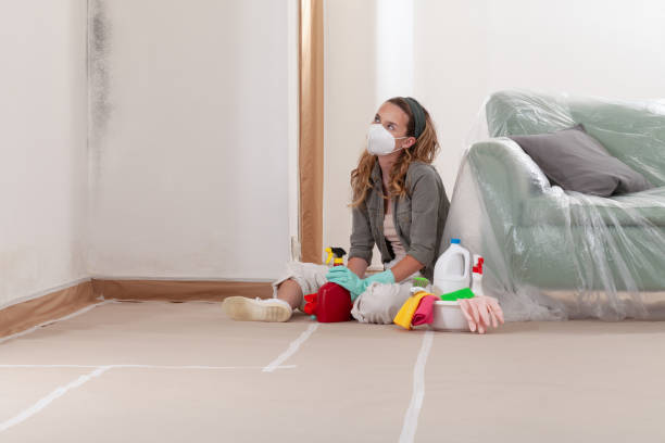 Reliable Mold Testing contractor in Greenville, KY by WQB Mold Removal